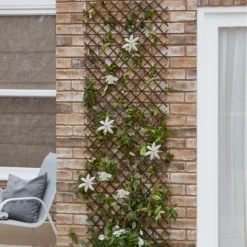 Blooma 2ft Willow Trellis Panel (W)180cm X (H)60cm -Garden & Outdoors blooma 2ft willow trellis panel w 180cm x h 60cm3663602430452 04bq