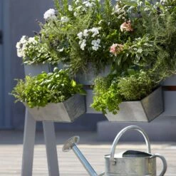 Blooma Rural Argent Metal Rectangular Trough -Garden & Outdoors blooma rural argent metal rectangular trough3663602733911 02bq