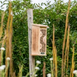 CJ Wildlife Floreana Natural Insect House -Garden & Outdoors cj wildlife floreana natural insect house5051054255316 01i