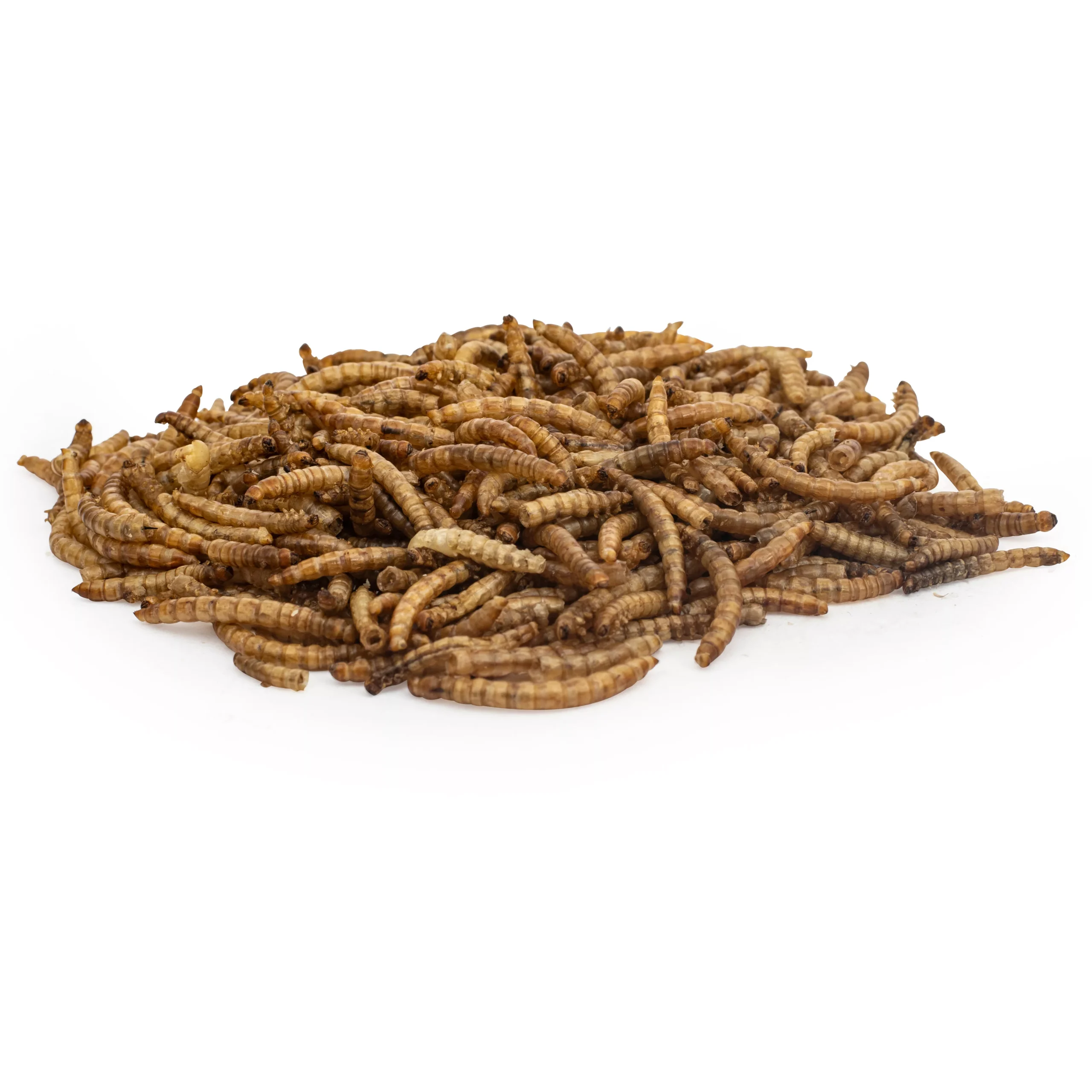 CJ Wildlife Mealworms 0.9kg 2 CJ Wildlife Mealworms 0.9kg - Image 2