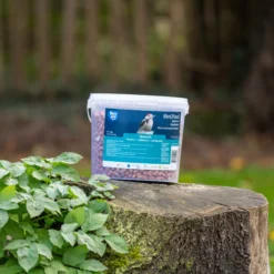 CJ Wildlife Peanuts 3kg -Garden & Outdoors cj wildlife peanuts 3kg5051054259192 01i