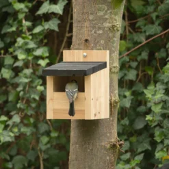 CJ Wildlife Viborg Natural Nest Box 5 CJ Wildlife Viborg Natural Nest Box -Garden & Outdoors cj wildlife viborg natural nest box5051054244457 01i
