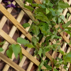 Forest Garden Trellis Natural Timber Rectangular Planter (H) 137cm X (W) 80cm -Garden & Outdoors forest garden trellis natural timber rectangular planter h 137cm x w 80cm5013053190616 02i