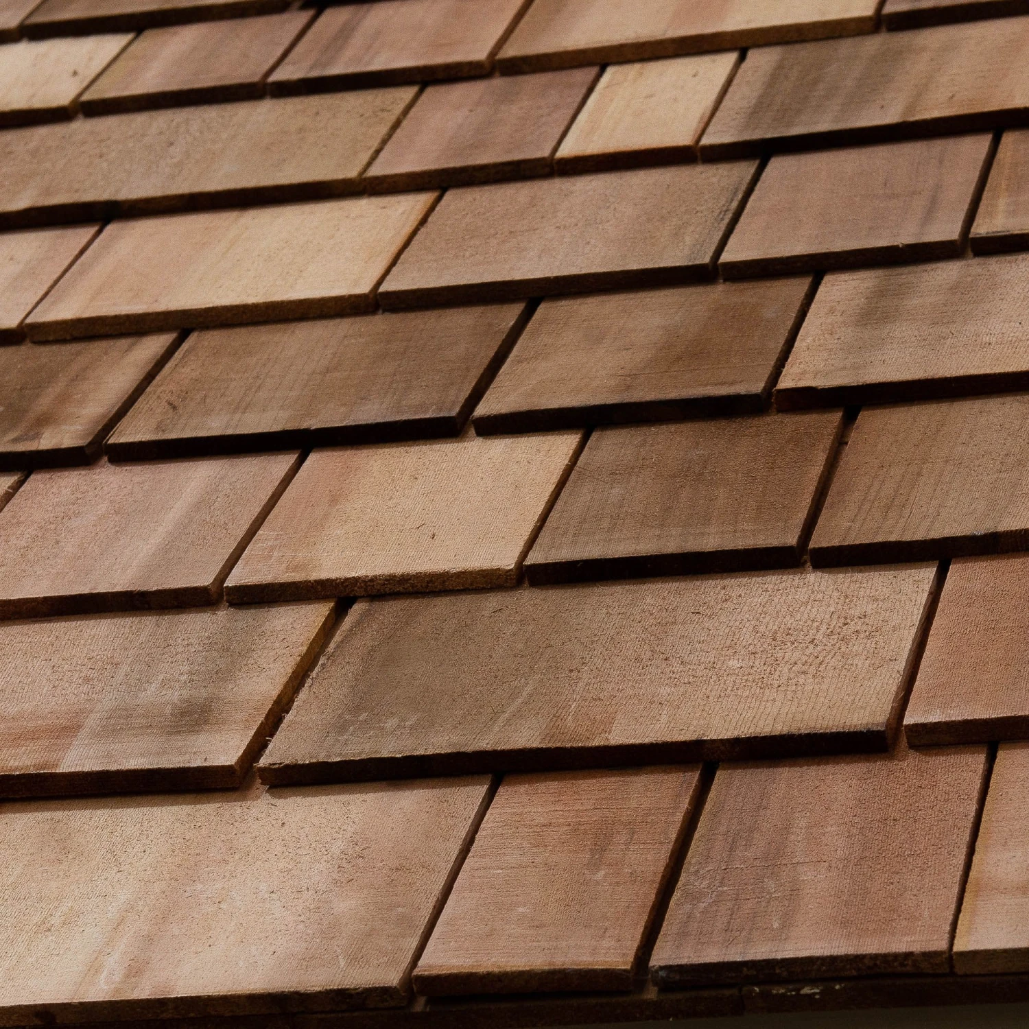 Forest Retreat 8x5 Apex Pressure Treated Overlap Cream Shed With Floor - Assembly Service Included 10 Forest Retreat 8x5 Apex Pressure Treated Overlap Cream Shed With Floor - Assembly Service Included - Image 10