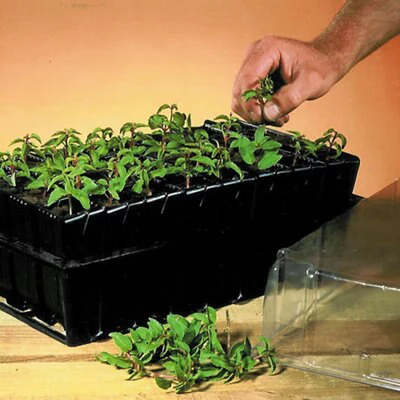 Haxnicks Deep Rootrainer 37cm 3 Haxnicks Deep Rootrainer 37cm - Image 3