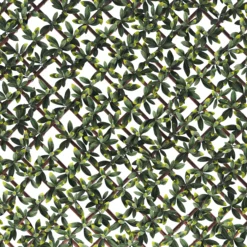 Klikstrom Extensible Fence With Bayberry Leaves Square Artificial Plant Wall, (H)1m (W)2m -Garden & Outdoors klikstrom extensible fence with bayberry leaves square artificial plant wall h 1m w 2m5059340671970 36c