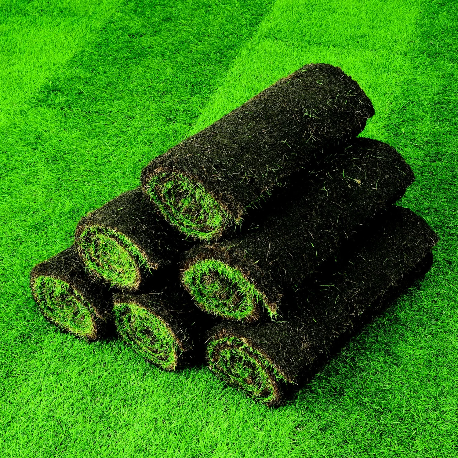 Lawn Turf, 25m² Pack 6 Lawn Turf, 25m² Pack - Image 6