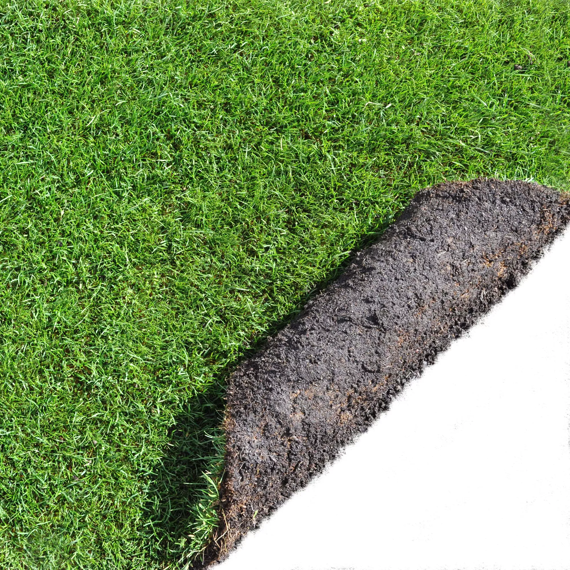 Lawn Turf, 42m² Pack 2 Lawn Turf, 42m² Pack - Image 2