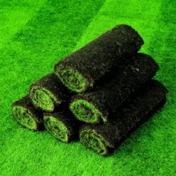 Lawn Turf, 59m² Pack -Garden & Outdoors lawn turf 59m pack3663602195115 04i