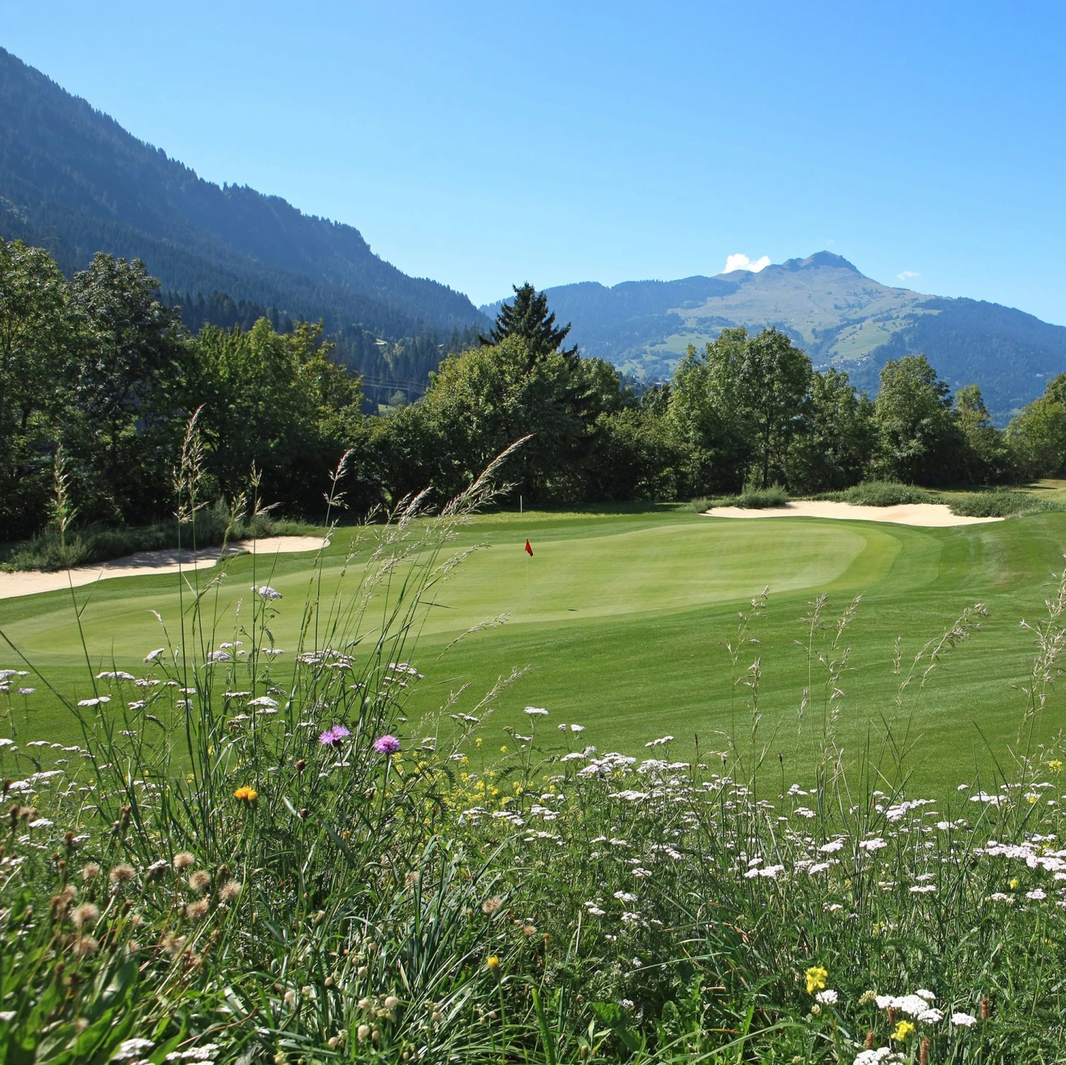 Meadowmat Wildflower Turf, 20m² Pack 6 Meadowmat Wildflower Turf, 20m² Pack - Image 6