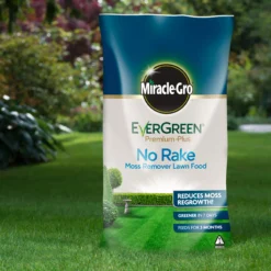 Miracle-Gro No Rake Lawn Fertiliser Granules 200m² 20kg 5 Miracle-Gro No Rake Lawn Fertiliser Granules 200m² 20kg -Garden & Outdoors miracle gro no rake lawn fertiliser granules 200m 20kg5010272183788 01i BQ