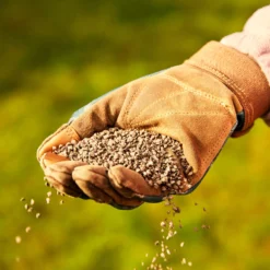 Miracle-Gro Perform Universal Plant Feed Granules 2kg 5 Miracle-Gro Perform Universal Plant Feed Granules 2kg -Garden & Outdoors miracle gro perform universal plant feed granules 2kg5010272189032 01i BQ