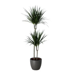 Never Plant In 24cm Assorted Ceramic Decorative Pot -Garden & Outdoors never plant in 24cm assorted ceramic decorative pot5059340827834 22c