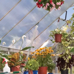 Palram Balance Silver 8x12 Greenhouse 13 Palram Balance Silver 8x12 Greenhouse -Garden & Outdoors palram balance silver 8x12 greenhouse7290103111465 38c