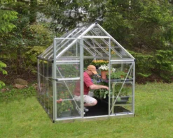 Palram - Canopia Harmony Silver 6x8 Greenhouse -Garden & Outdoors palram canopia harmony silver 6x8 greenhouse7290103110581 05i