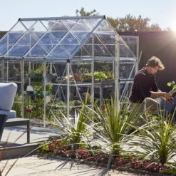 Palram - Canopia Harmony Silver 6x8 Greenhouse -Garden & Outdoors palram canopia harmony silver 6x8 greenhouse7290103110581 07i