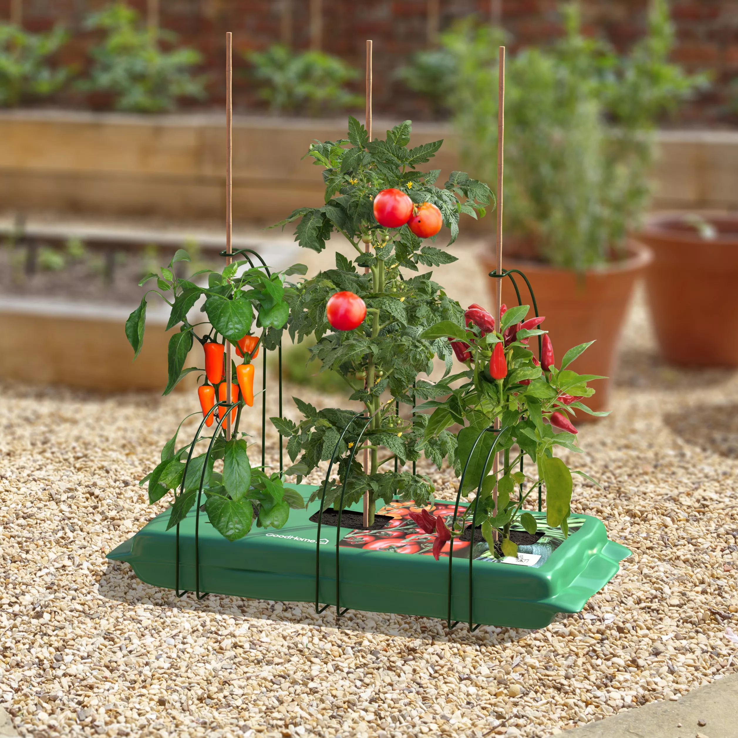 Panacea Steel Curved Plant Support Frame (L)47cm (Dia)35cm, Set Of 3 2 Panacea Steel Curved Plant Support Frame (L)47cm (Dia)35cm, Set Of 3 - Image 2