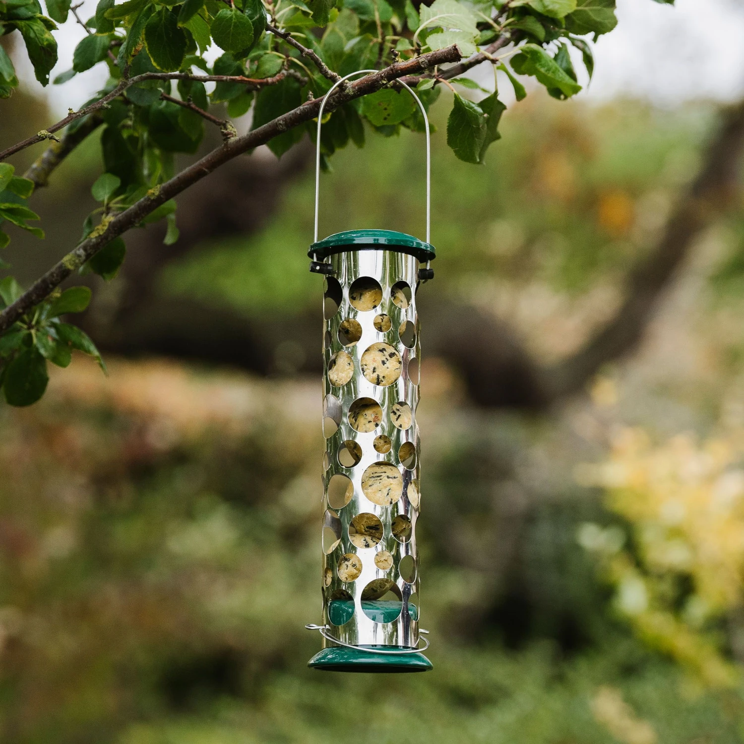 Peckish Stainless Steel Energy Ball Green All Weather Bird Feeder 0.7L 2 Peckish Stainless Steel Energy Ball Green All Weather Bird Feeder 0.7L - Image 2