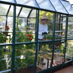 Rion Grand Gardner Green 8x16 Greenhouse 13 Rion Grand Gardner Green 8x16 Greenhouse -Garden & Outdoors rion grand gardner green 8x16 greenhouse7290103121594 04i bq