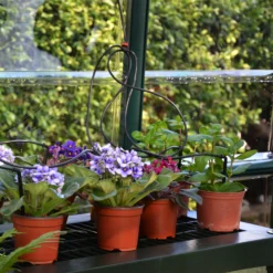 Rion Grand Gardner Green 8x16 Greenhouse 10 Rion Grand Gardner Green 8x16 Greenhouse -Garden & Outdoors rion grand gardner green 8x16 greenhouse7290103121594 37c