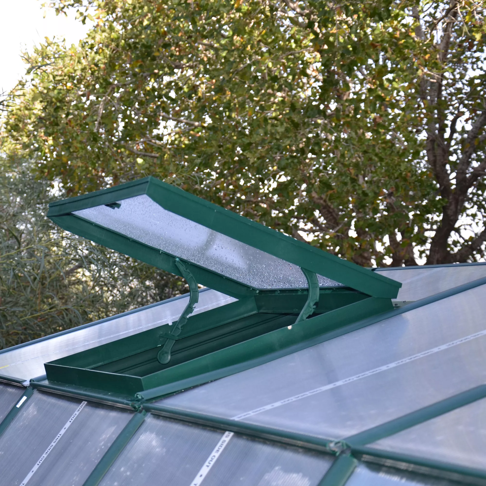 Rion Grand Gardner Green 8x16 Greenhouse 4 Rion Grand Gardner Green 8x16 Greenhouse - Image 4