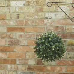 Smart Garden White Flower Artificial Topiary Ball 5 Smart Garden White Flower Artificial Topiary Ball -Garden & Outdoors smart garden white flower artificial topiary ball5050642007573 01i bq