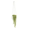 String Of Beads In 13cm White Ceramic Hanging Pot