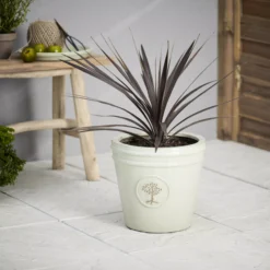 Verve Barcău Olive Ceramic Circular Plant Pot (Dia)32cm -Garden & Outdoors verve barcau olive ceramic circular plant pot dia 32cm5059340327785 01i