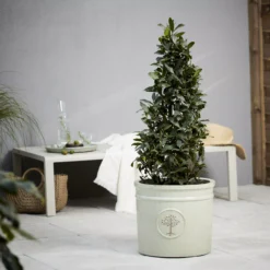Verve Barcău Olive Ceramic Circular Plant Pot (Dia)38cm 5 Verve Barcău Olive Ceramic Circular Plant Pot (Dia)38cm -Garden & Outdoors verve barcau olive ceramic circular plant pot dia 38cm5059340327709 01i