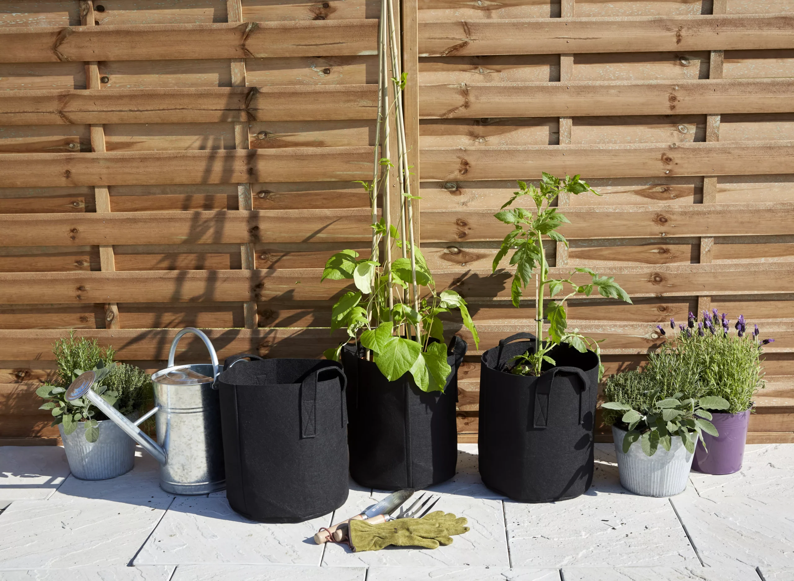 Verve Black Round Planter, Pack Of 3 2 Verve Black Round Planter, Pack Of 3 - Image 2