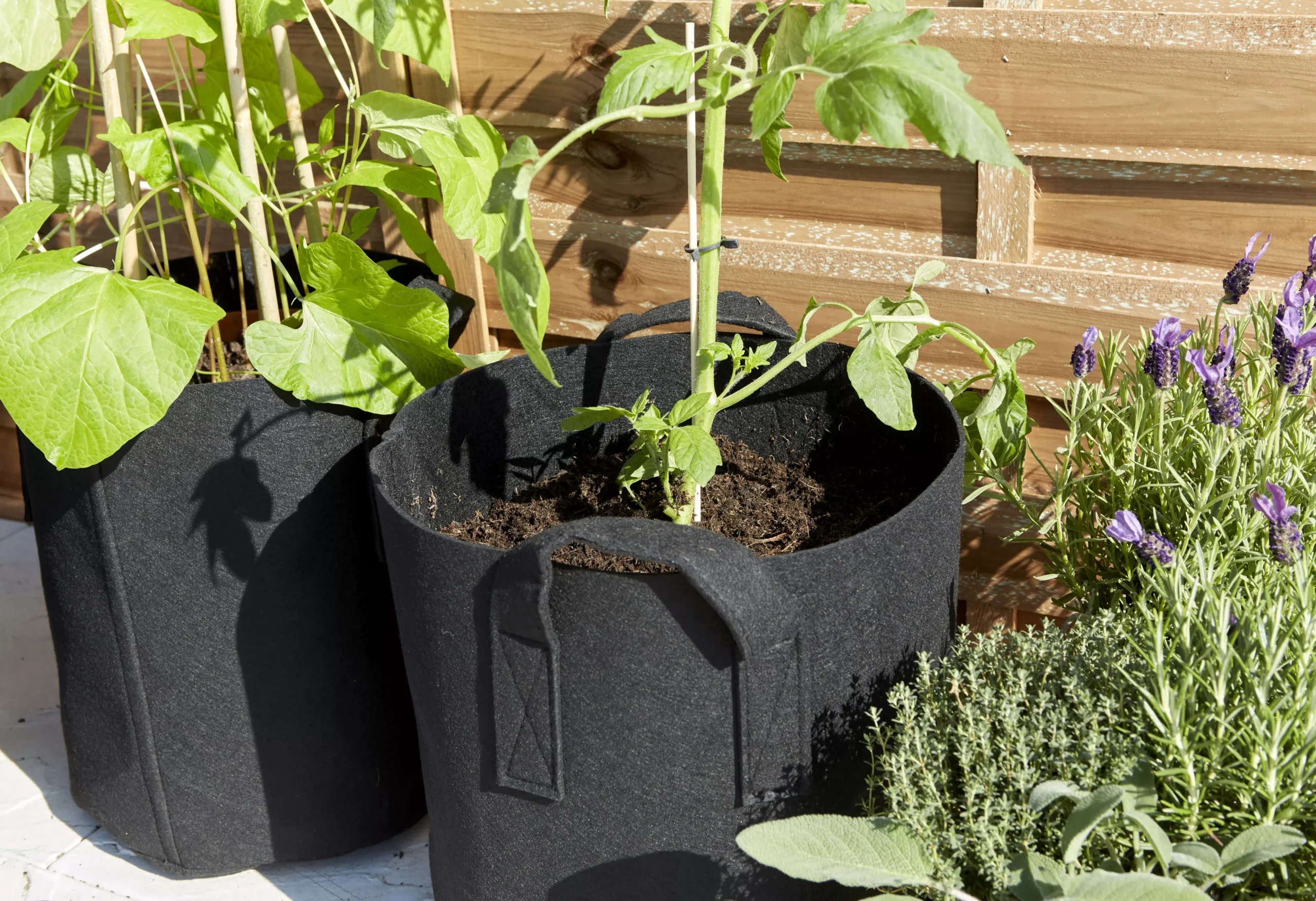 Verve Black Round Planter, Pack Of 3 3 Verve Black Round Planter, Pack Of 3 - Image 3