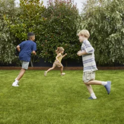 Verve Family & Sports Grass Seeds, 10kg -Garden & Outdoors verve family sports grass seeds 10kg3663602947516 01i