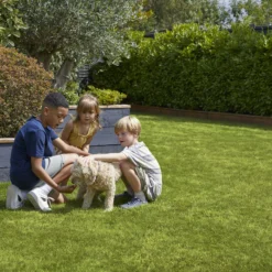 Verve Family & Sports Grass Seeds, 10kg -Garden & Outdoors verve family sports grass seeds 10kg3663602947516 04i