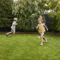 Verve Family & Sports Grass Seeds, 5kg 13 Verve Family & Sports Grass Seeds, 5kg -Garden & Outdoors verve family sports grass seeds 5kg3663602947516 02i