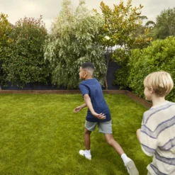 Verve Family & Sports Grass Seeds, 5kg 14 Verve Family & Sports Grass Seeds, 5kg -Garden & Outdoors verve family sports grass seeds 5kg3663602947516 03i