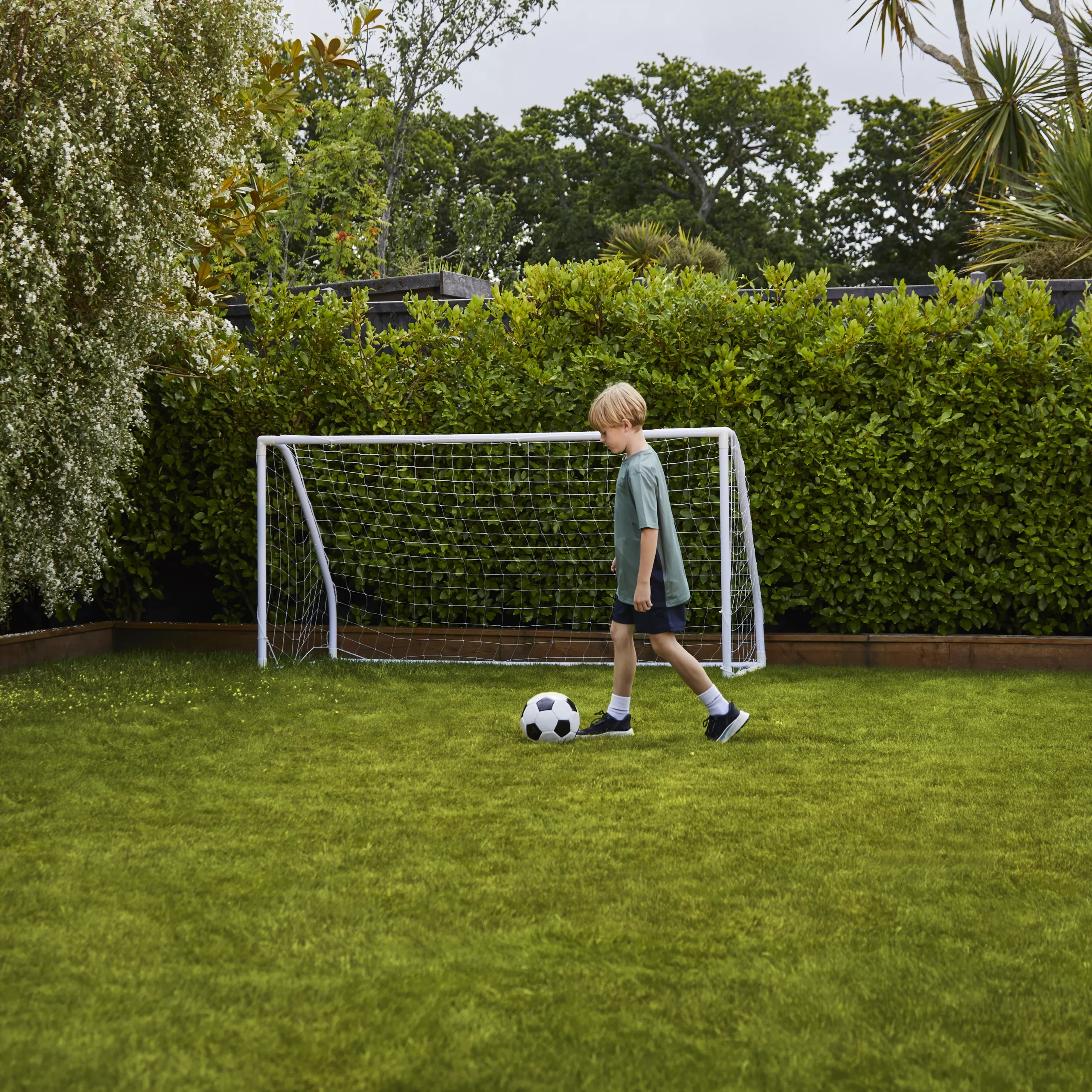 Verve Family & Sports Grass Seeds, 5kg 8 Verve Family & Sports Grass Seeds, 5kg - Image 8