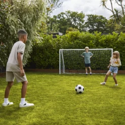 Verve Family & Sports Grass Seeds, 5kg 20 Verve Family & Sports Grass Seeds, 5kg -Garden & Outdoors verve family sports grass seeds 5kg3663602947516 09i