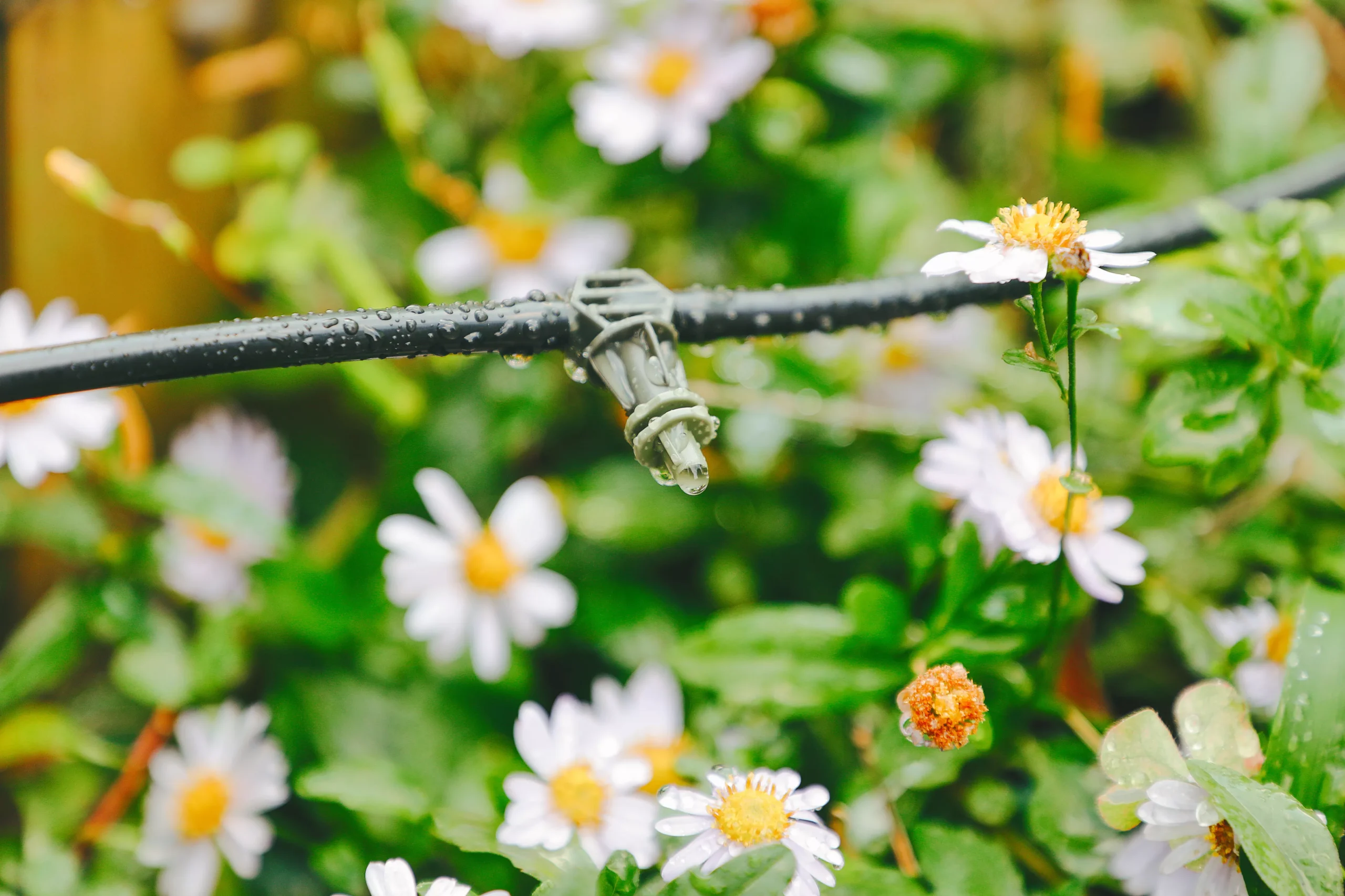 Verve Irrigation Kit 60 Pieces 3 Verve Irrigation Kit 60 Pieces - Image 3