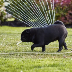 Verve Oscillating Fan Sprinkler 18 Verve Oscillating Fan Sprinkler -Garden & Outdoors verve oscillating fan sprinkler5059340251240 07i