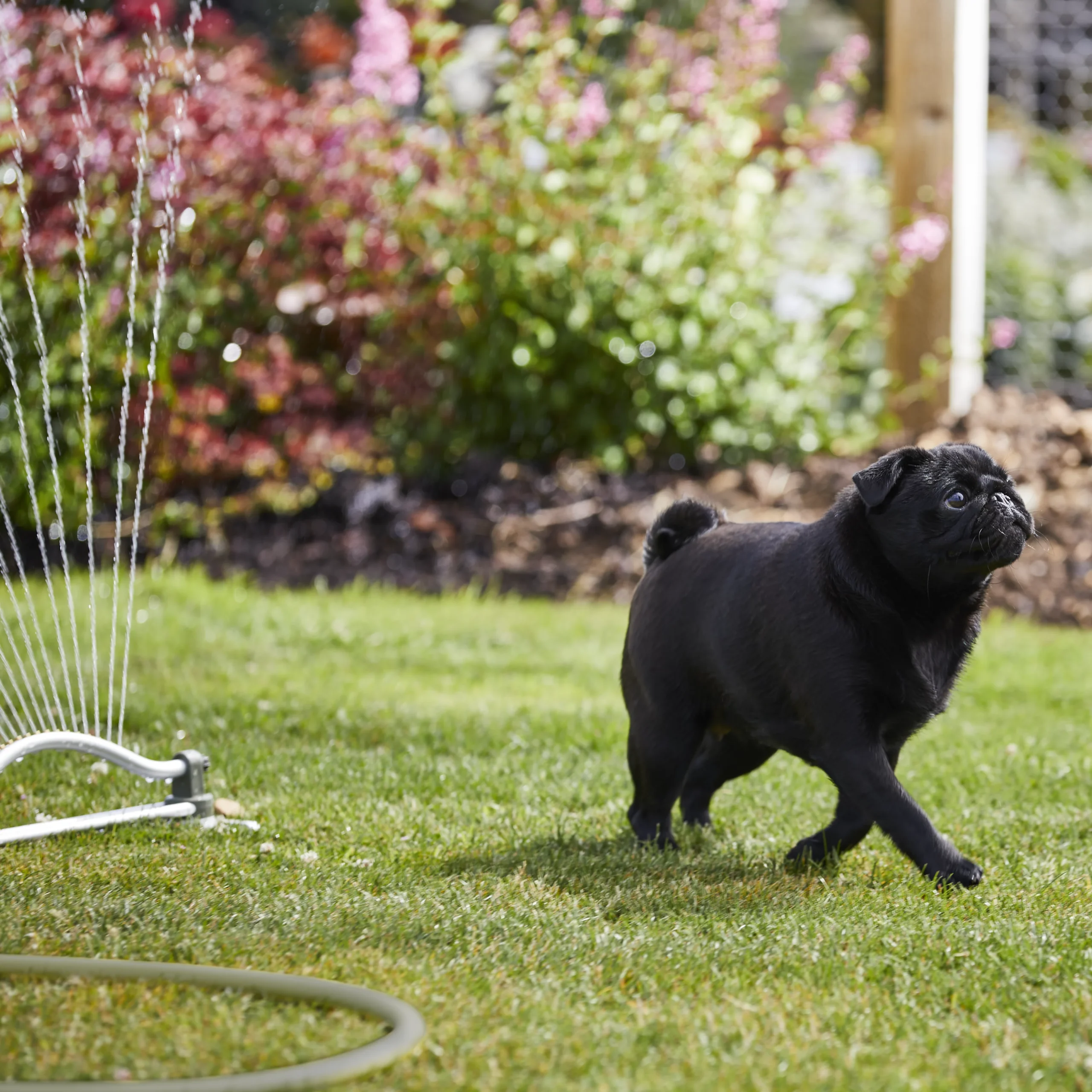Verve Oscillating Fan Sprinkler 10 Verve Oscillating Fan Sprinkler - Image 10