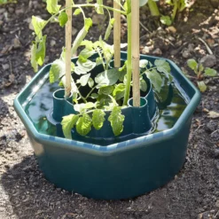 Verve Plastic Plant Support 28cm, Pack Of 3 5 Verve Plastic Plant Support 28cm, Pack Of 3 -Garden & Outdoors verve plastic plant support 28cm pack of 33663602557715 01i