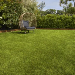 Verve Sunny Grass Seeds, 5kg 6 Verve Sunny Grass Seeds, 5kg -Garden & Outdoors verve sunny grass seeds 5kg3663602947578 01i